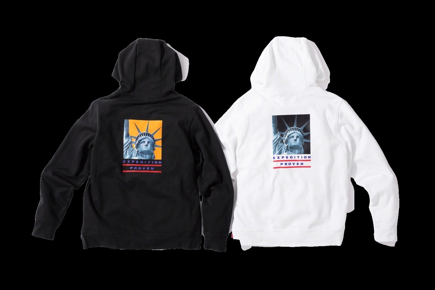 Supreme®/The North Face® Statue of Liberty Hooded Sweatshirt